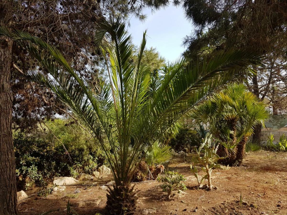 Villa Mina كاروفينيو المظهر الخارجي الصورة